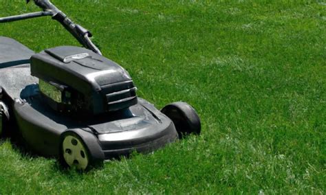 Choosing the Right Gas for Your Lawn Mower: A Complete Guide