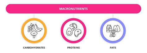 What Are Macronutrients And Micronutrients | GetSmarter Blog