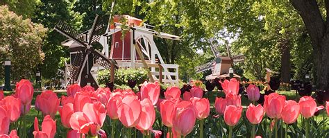 Orange City Tulip Festival – Vibrant Orange City, Iowa