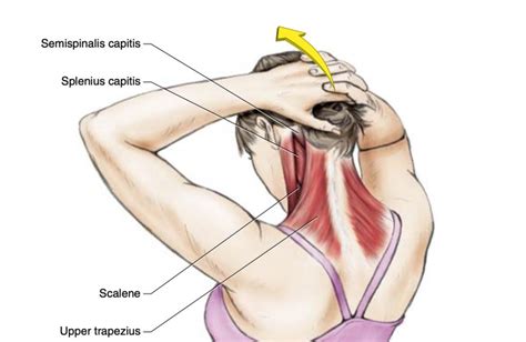 11 Stretches To Relieve Neck and Shoulder Tension