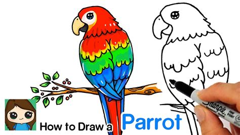 How To Draw A Rainbow Lorikeet Step By Step - lovinbeautystuff