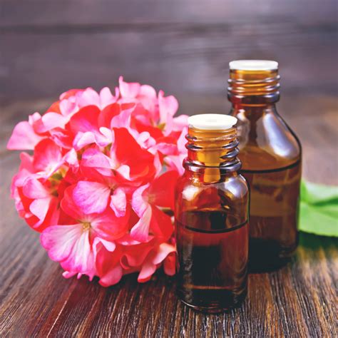 geranium oil - best oils for oily skin - FabWoman | News, Style, Living Content For The Nigerian ...