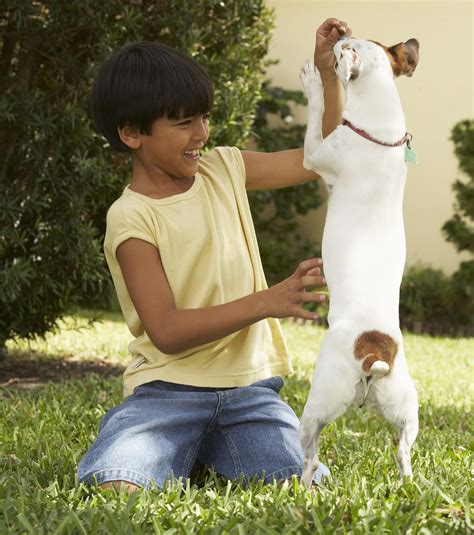 Modern Puppy Training Techniques