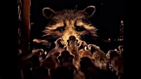 Guardians of the Galaxy Vol. 3 Rocket saves baby raccoons - YouTube