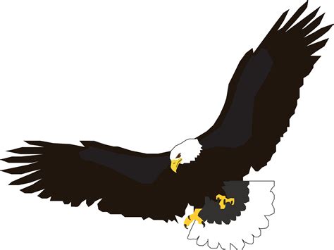 Flying Eagle Png Image Download Transparent HQ PNG Download | FreePNGImg