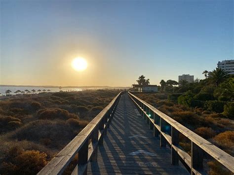 Alvor Boardwalk - 2020 All You Need to Know BEFORE You Go (with Photos) - Tripadvisor