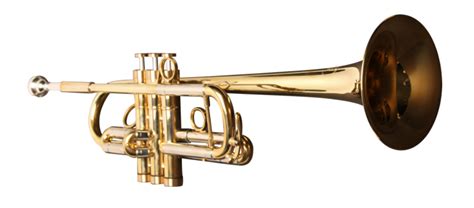 Types of Trumpets - Learn and See how they Differentiate