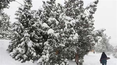 Ziarat snowfall 12_01_2020 - YouTube