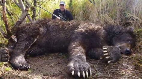 Supposedly record grizzly, Alaska | Hunting