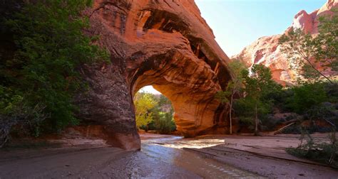 Coyote Gulch Hiking Trail | Utah.com | Escalante, Grand staircase escalante, Hiking trails