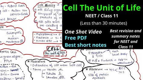Mind map - Cell the Unit of Life || One Shot NEET CBSE Class 11 chapter 8 NEET biology best ...