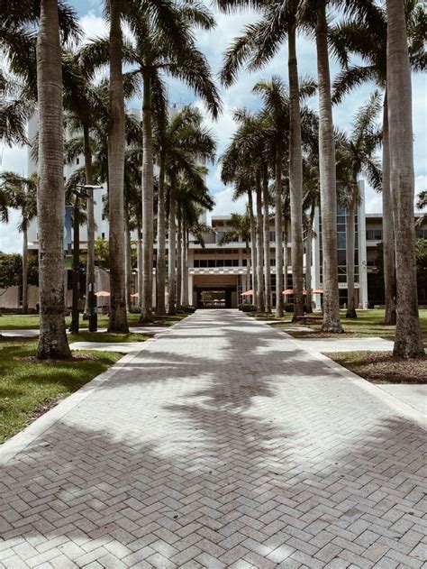 university of miami campus | University of miami, Colleges in florida ...