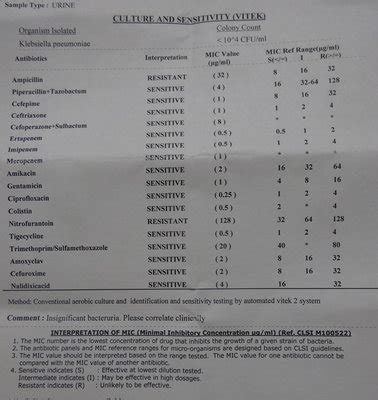 Urine Culture Test Report Sample