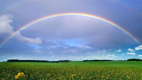 Green Grass Field With Flowers Under Rainbow And Blue Sky With Clouds ...