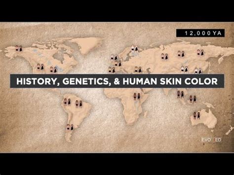 The Evolution of Human Skin Color