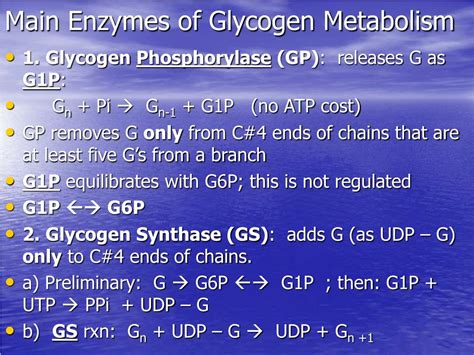 PPT - Glycogen Metabolism PowerPoint Presentation, free download - ID:6329