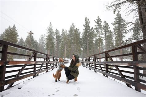 Dog-friendly Winter Getaway to South Lake Tahoe — HELLORUBYDOODLE