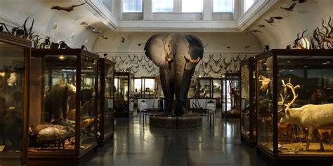 Göteborgs Naturhistoriska Museum - Natural history museum in Gothenburg | GuidebookSweden