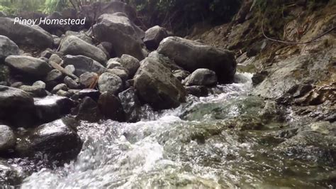 Natural Spring Water in the Philippines ( Lukutan River ) - YouTube