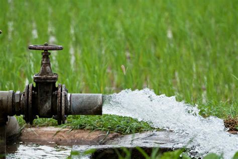 Necesario mejorar la gestión del agua en el mundo: FAO