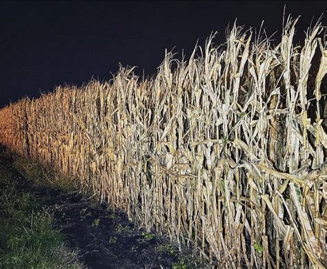 Heap's Haunted Corn Maze 2021 - Haunted Houses Chicago