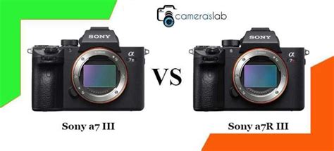 Sony a7 III vs a7R III - Learn Why Sony a7III is Best!