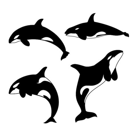 Premium Vector | Orca vector illustration killer whale silhouette