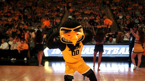 Herky the Hawk – University of Iowa Athletics