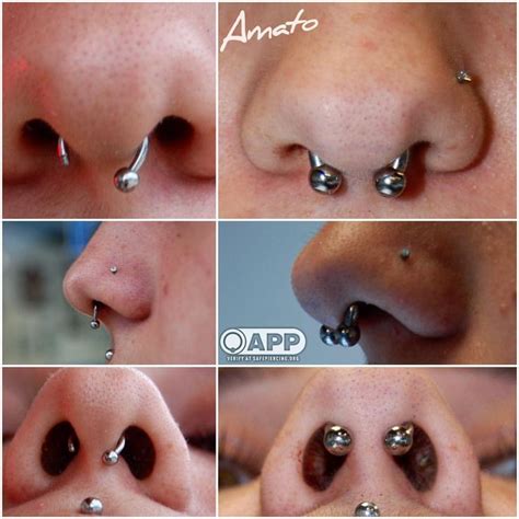 An awesome septum correction by joe! On the left is her original piercing- slightly crooked and ...