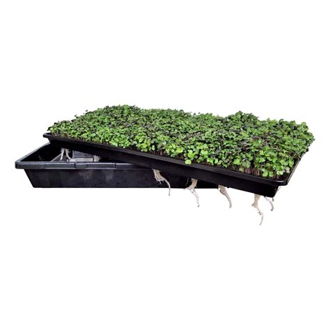 1020 Microgreen Trays Hydroponic Gardening, Hydroponics, Under Counter ...