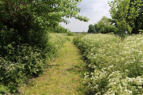 Meadow Trail 2 by fuguestock on DeviantArt