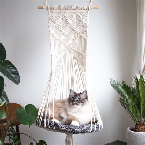 Cat hammocks – what every owner should know | meowpassion