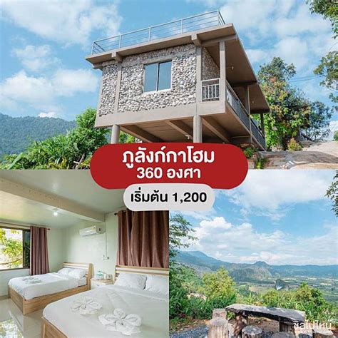 10 ที่พัก ผาช้างน้อย-ภูลังกา จ.พะเยา มองเห็นวิวทะเลหมอก | ชิลไปไหน | LINE TODAY