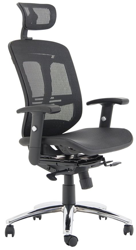 Carinosa II Mesh Office Chair