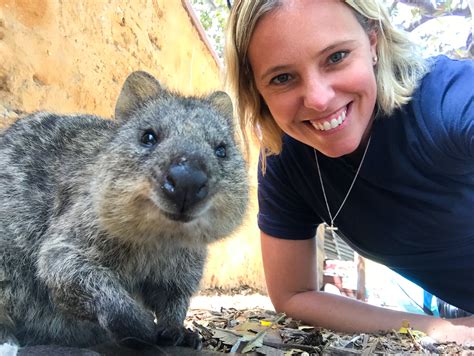 How to nail a responsible #quokkaselfie — Ecotravelist