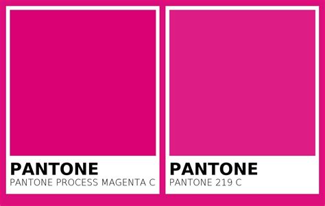 Color PANTONE Process Magenta C vs PANTONE 219 C Side By Side