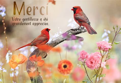 Remerciements | Beautiful birds, Animals, Card making