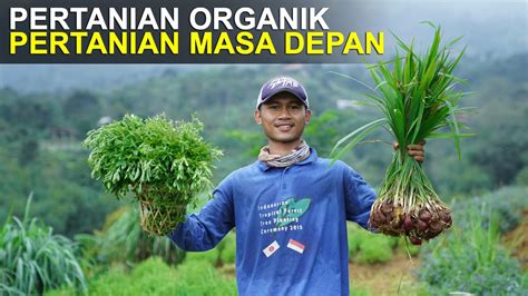 Pertanian Organik, Pertanian Masa Depan - YouTube