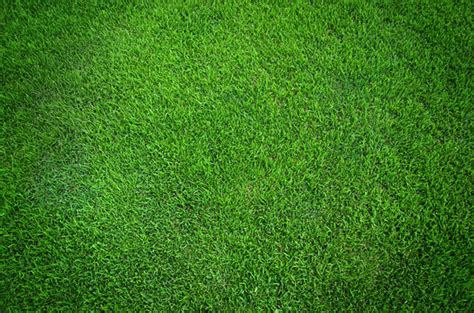 Grass Background Images – Browse 6,155,121 Stock Photos, Vectors, and ...