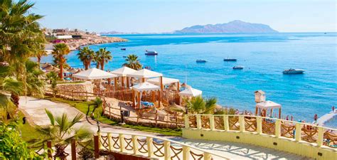 All You Need to Know about Makadi Bay Hurghada - Trips in Egypt UK