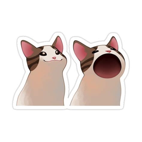 "Popping cat meme" Sticker for Sale by Gukica | Pop cat, Cat memes, Cat diy