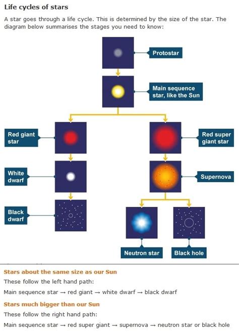 Star Life Cycle Worksheet