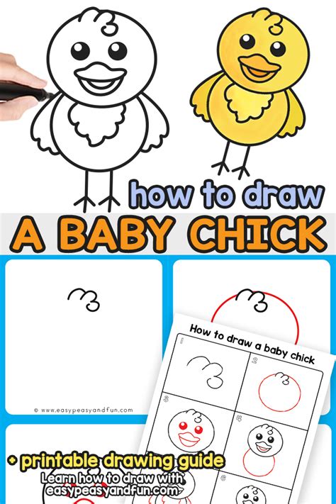 How to Draw a Baby Chick – Step by Step Drawing Guide - Easy Peasy and Fun