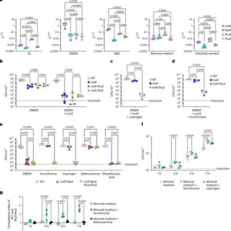 Intestinal fungi can be a source of fungal siderophores a, Relative... | Download Scientific Diagram