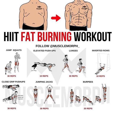 5 Quick And Easy HIIT Workouts For Toning The Whole Body - GymGuider ...