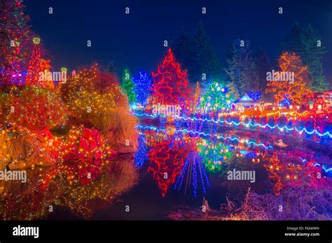 Festival of Lights, VanDusen Botanical Garden, Vancouver, British ...