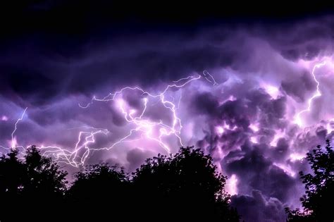 A view of purple lightning and thunder bolt in the sky with trees in ...