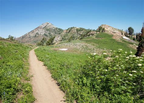 Hiking Ben Lomond, Willard Peak, Inspiration Point via Skyline Trail in ...