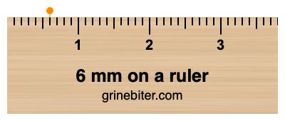 6 mm on a ruler