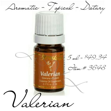 Valerian Essential Oil | Valerian essential oil, Essential oils, Oils